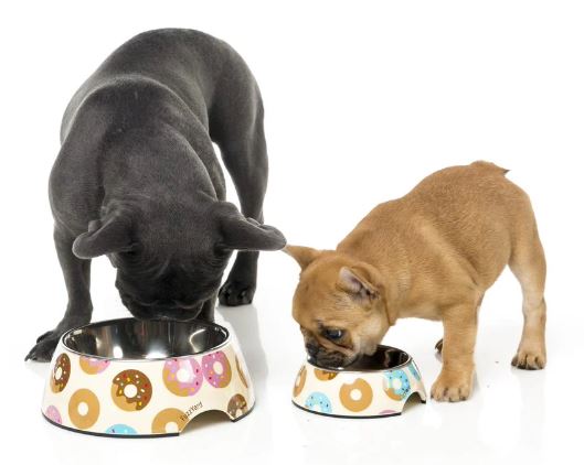 FUZZYARD DOG BOWL (Plato de comida para perros)