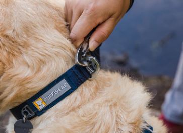 RUFFWEAR COLLAR FRONT RANGE (Collar para perros)