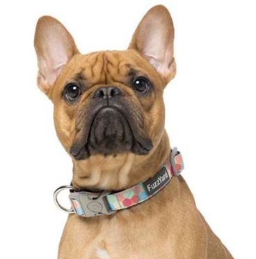 FUZZYARD DOG COLLAR (Collar para perros)