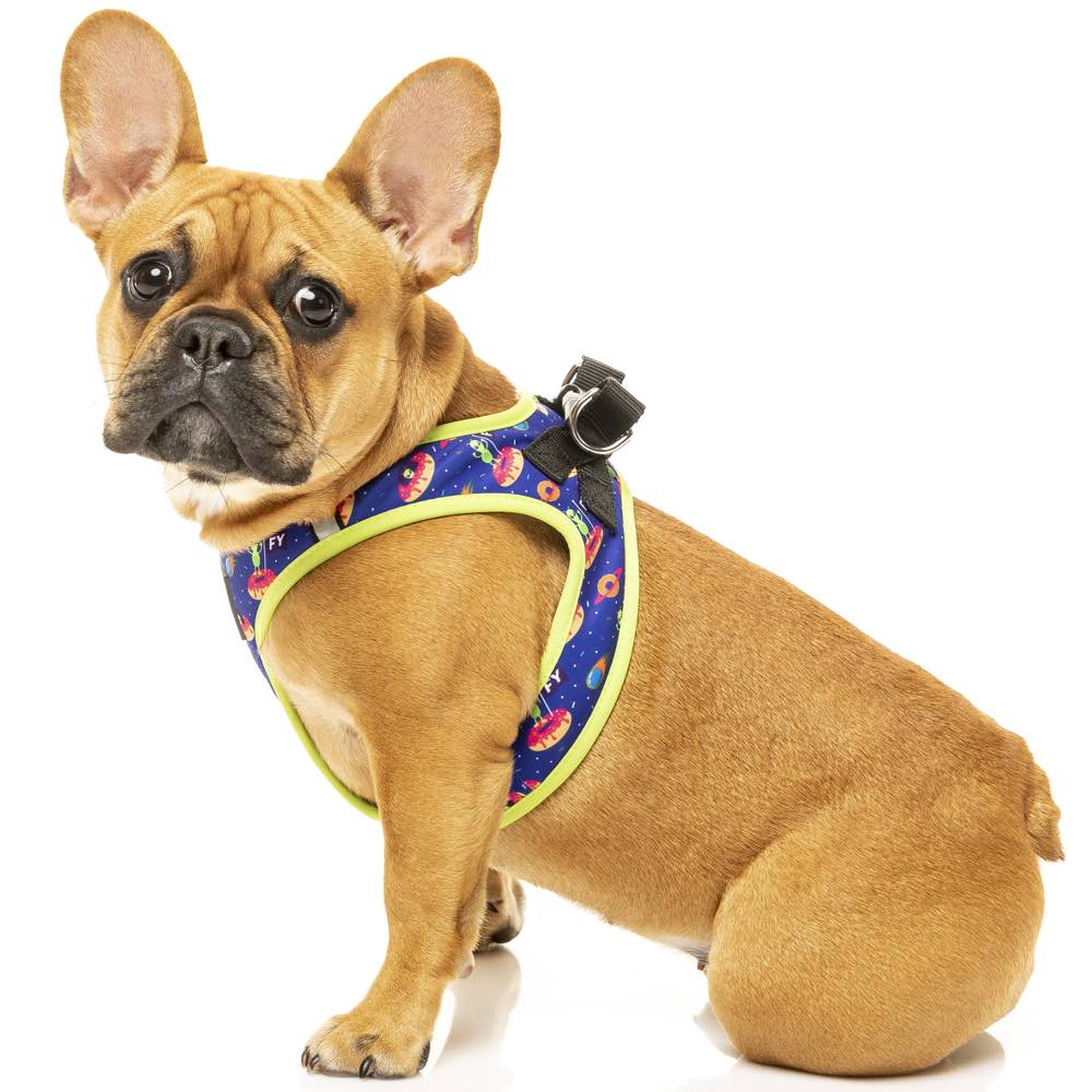 FUZZYARD DOG HARNESS (Arnes para perros)