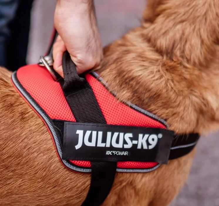 JULIUS JK9 POWAIR HARNESS (Arnes para perros JK9)