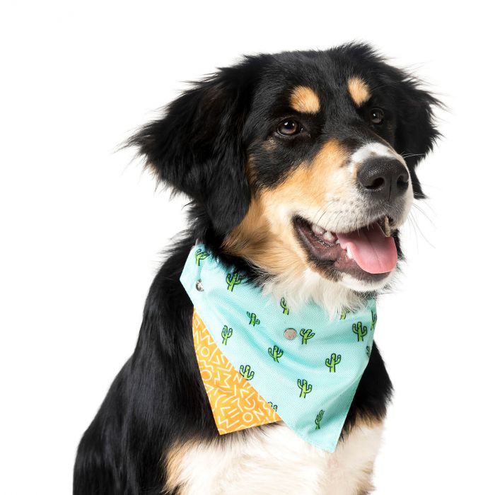 FUZZYARD PET BANDANA (Bandana para perros)